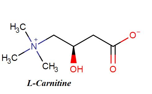L- carnitine