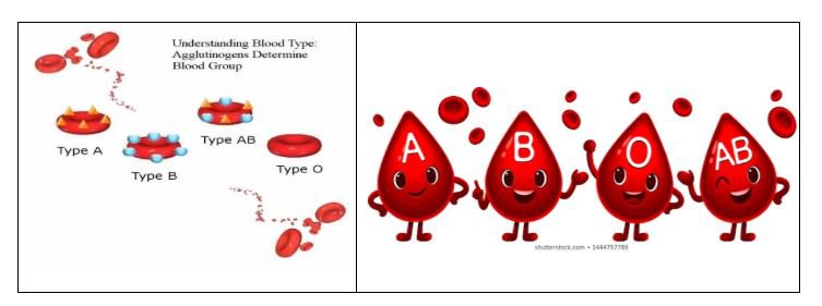 Nhóm máu hệ ABO