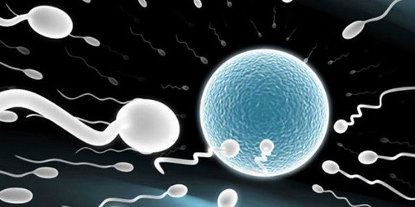 Xét nghiệm AMH đánh giá khả năng sinh sản của phụ nữ