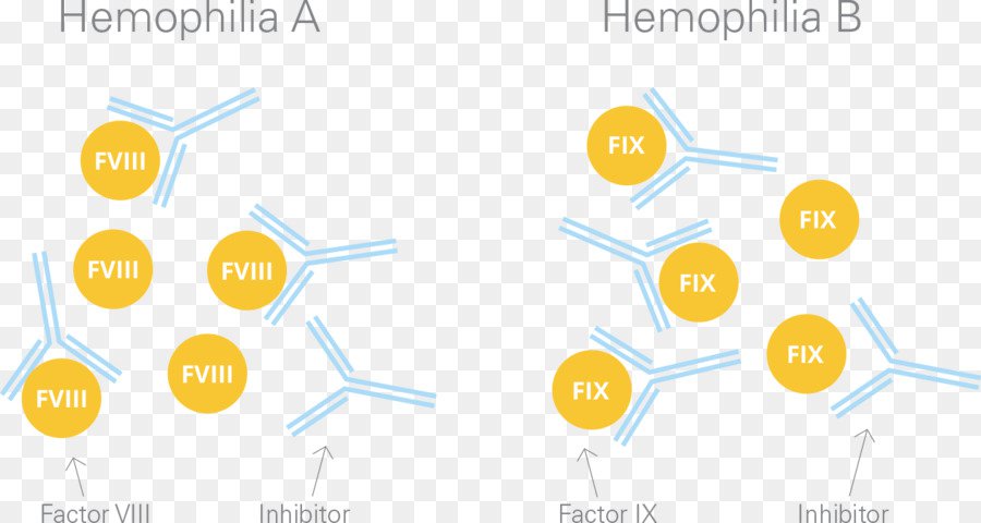 Hemophilia  A và Hemophilia  B