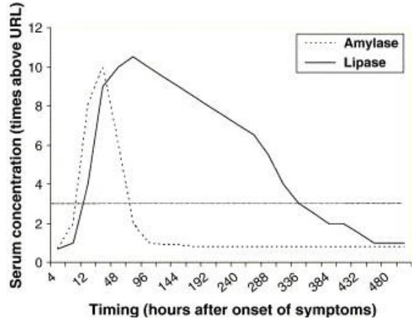 Significance Of Elevated Amylase And Lipase Activity - Infoupdate.org