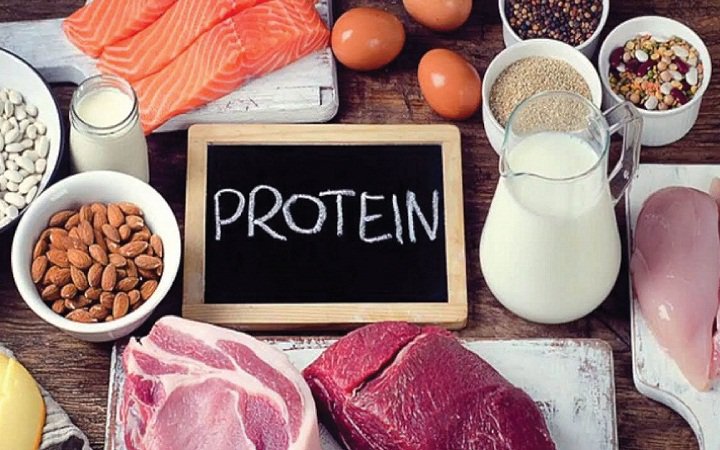 Thực phẩm giàu protein phù hợp cho các hoạt động hàng ngày