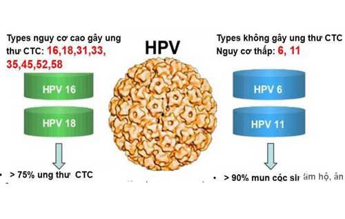 Nhiễm HPV 18 và 52 có ảnh hưởng đến sinh sản không ?
