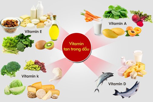 vitamin hòa tan trong chất béo