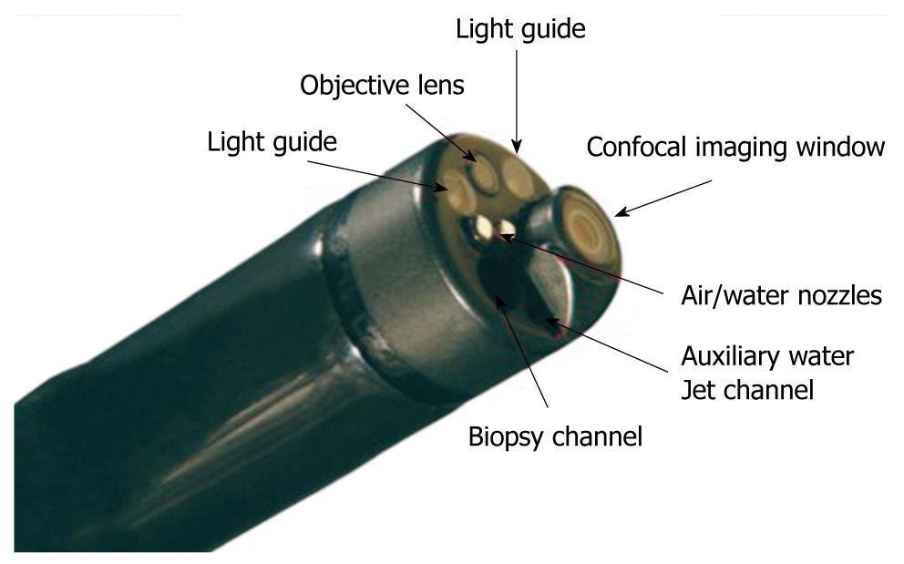 Cấu trúc của dây nội soi phóng đại  bằng Laser đồng tiêu