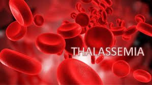 Bệnh Thalassemia