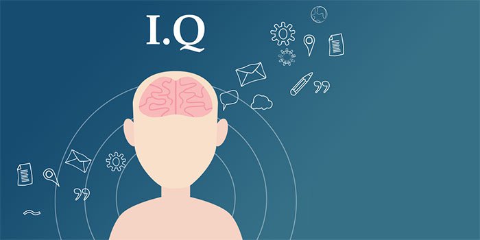 Do IQ tests really measure intelligence?