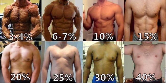 Tỷ lệ % mỡ cơ thể lý tưởng cho cơ thể