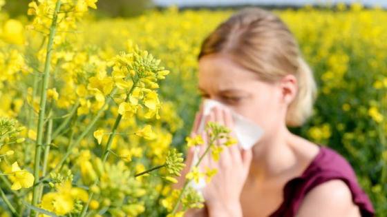 Dị ứng phấn hoa: Phân loại, triệu chứng và điều trị