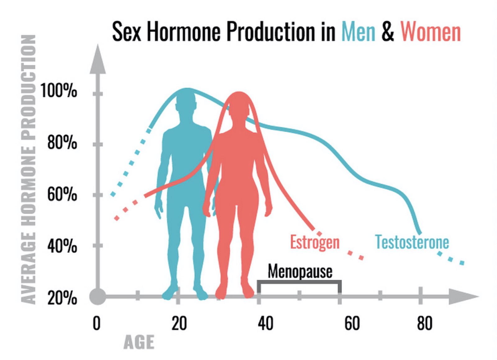 estrogen và testosterone