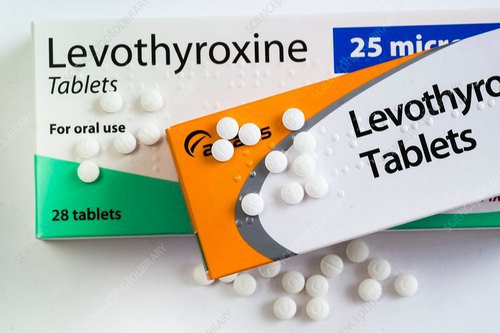 thuốc levothyroxine