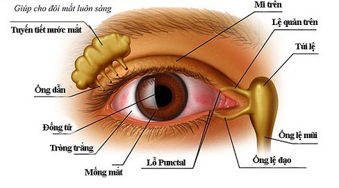 Mắt ngủ dậy có nhiều gỉ mắt bám dít mắt khắc phục thế nào?