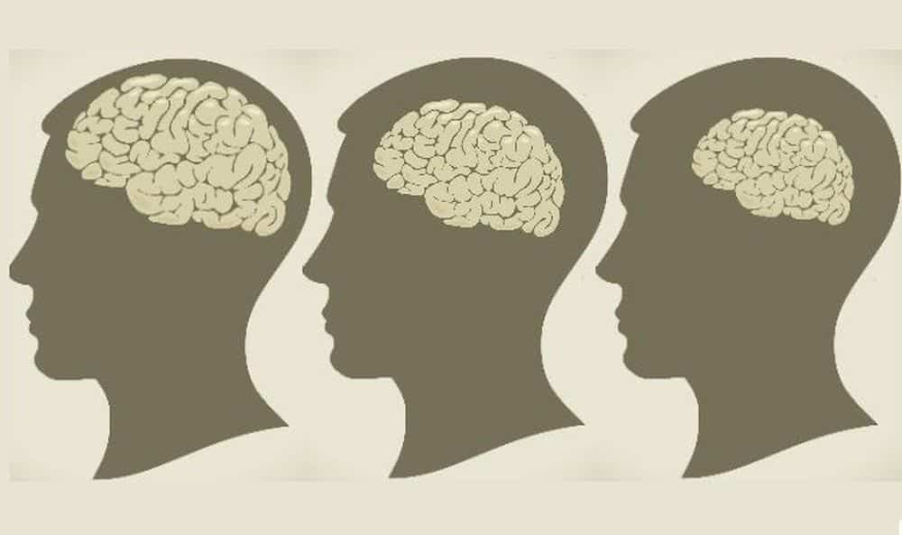 teo não và suy giảm trí nhớ