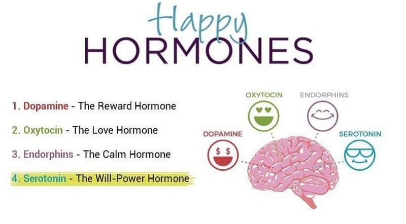 hormone hạnh phúc