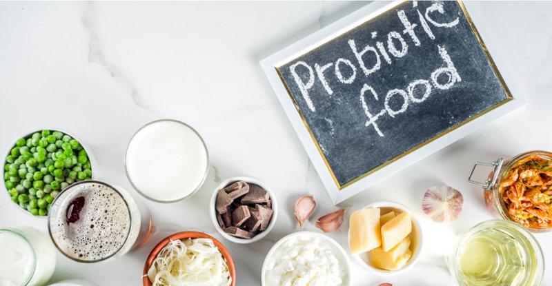 thực phẩm bổ sung Probiotic tốt nhất