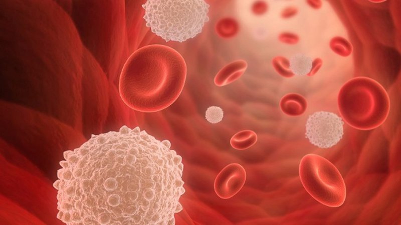 Thuốc Udenyca 6mg có tác dụng tạo ra nhiều tế bào bạch cầu mới cho cơ thể