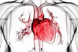 Viêm màng ngoài tim là biến chứng thường gặp sau khi tổn thương tim nhồi máu cơ tim