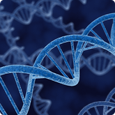Tế bào gốc - Công nghệ gen