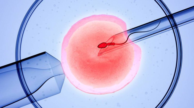 Thụ tinh ống nghiệm IVF có tỉ lệ thành công cao không?