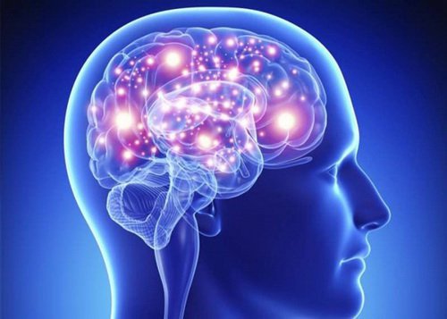 Thần kinh khứu giác có thể giúp kích thích trí nhớ