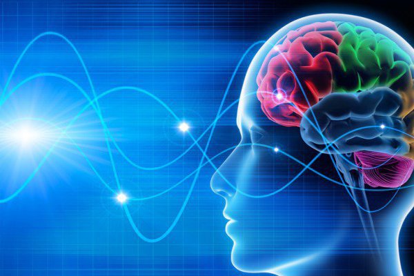 Bộ não có khả năng điều khiển được ý thức cũng như nhận thức của con người