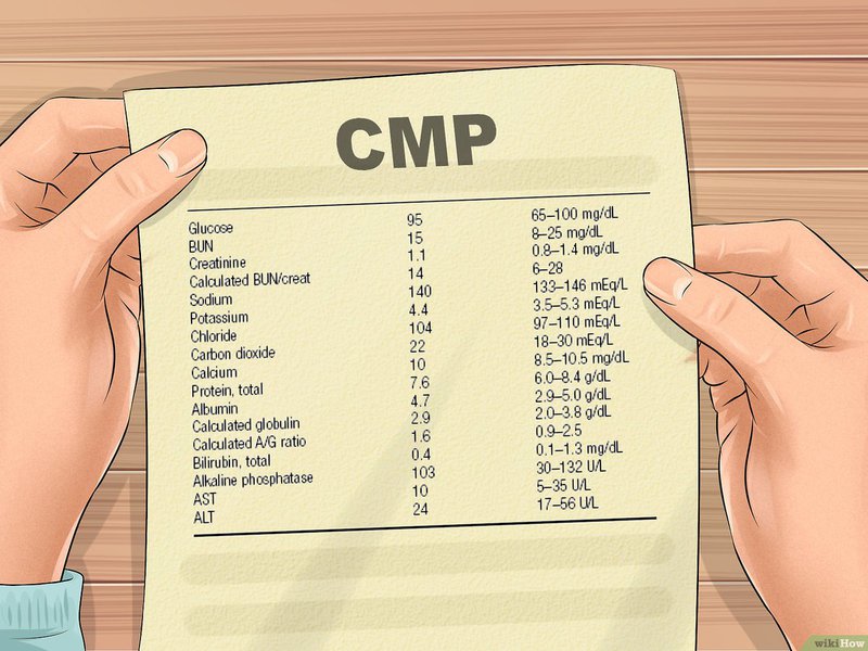 Bảng trao đổi chất toàn diện CMP