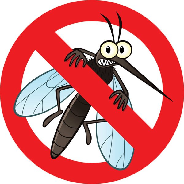 Loại bỏ nơi sinh sống của muỗi là cách phòng tránh bệnh sốt rét hữu hiệu