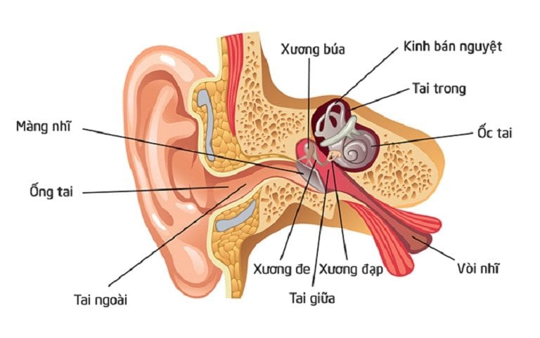 Chảy dịch tai khi đang điều trị viêm ống tai ngoài có sao không?