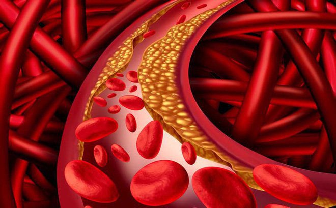 Một số chế phẩm từ bạch tật lê cho thấy hiệu quả giảm thành phần lipid trong máu
