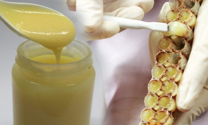 Người bị bệnh gout sử dụng sữa ong chúa hằng ngày có được không?