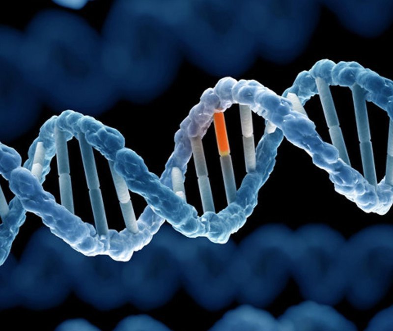 Đột biến gen là gì và các dạng đột biến xảy ra như thế nào?