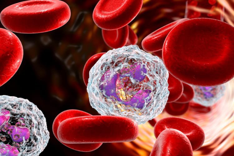 Mỗi một tế bào máu giữ nhiều vai trò khac nhau