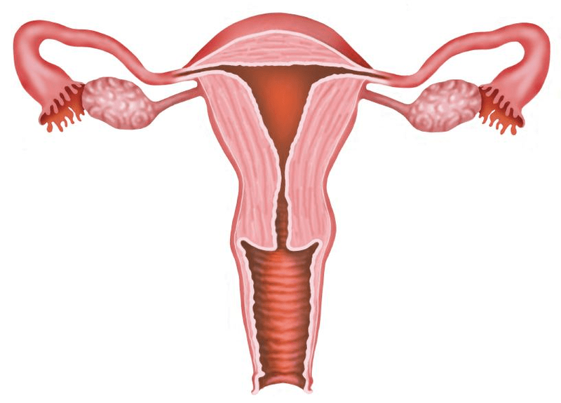 Bóc tách lạc nội mạc tử cung tại tầng sinh môn có ảnh hưởng gì không?