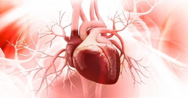 Người cao tuổi bị suy tim kèm hở van tim có nên đặt máy trợ tim không?