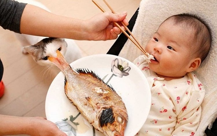 trẻ em ăn cá gì tốt