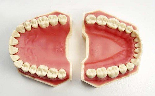 Răng của bạn từ sơ sinh đến trưởng thành