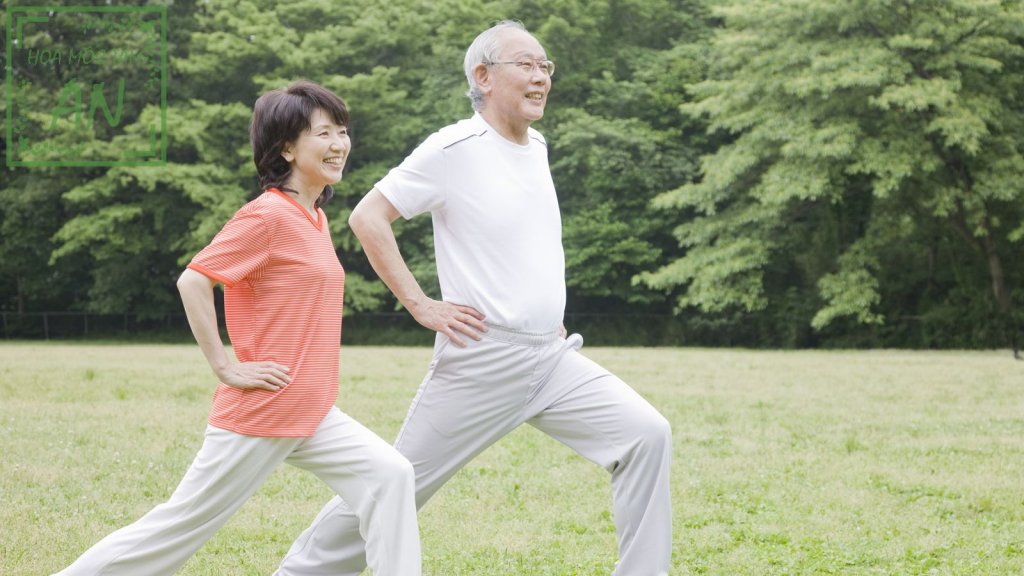 Ngoài việc sử dụng thuốc an thần thì người già có thể tập thể dục đều đặn