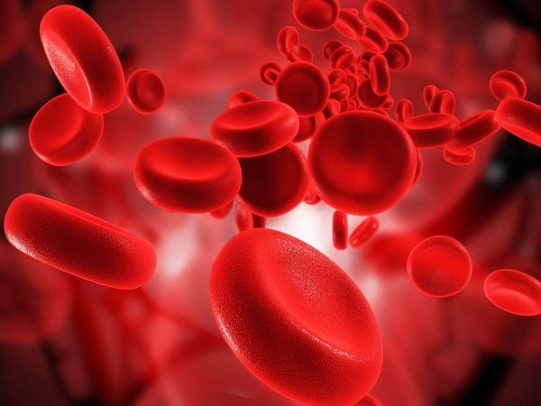 Trẻ thiếu máu hồng cầu cấy ghép tủy được không?