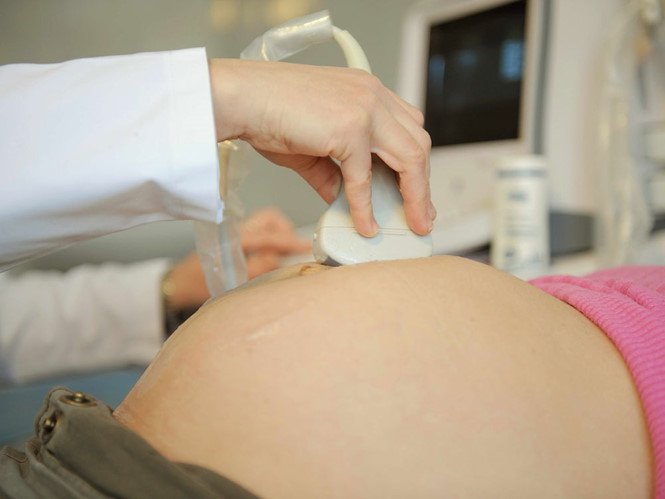 Vách liên thất có khối echo dày ở thai nhi 36 tuần có nguy hiểm không?