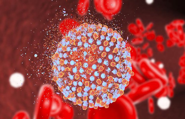 Mắc HIV kèm viêm gan B và C có chữa được không?