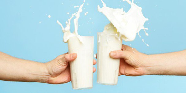 Uống nhiều sữa có gây dậy thì sớm không?