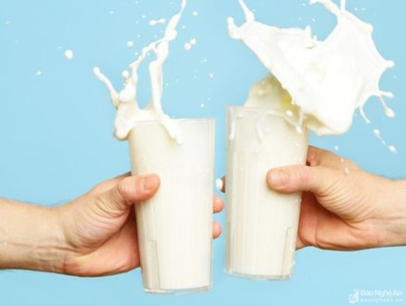 Uống nhiều sữa có gây béo không?