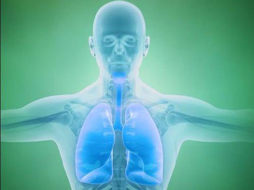 Hành trình phức tạp của oxy trong cơ thể người