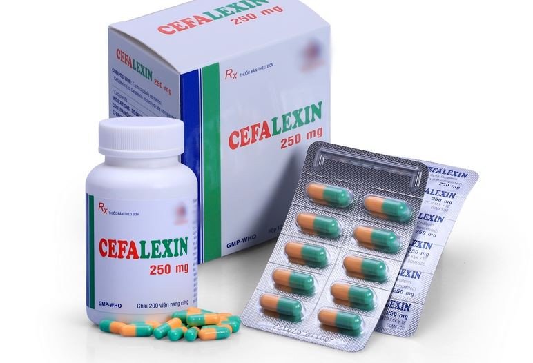Cephalexin là thuốc trị bệnh gì?
