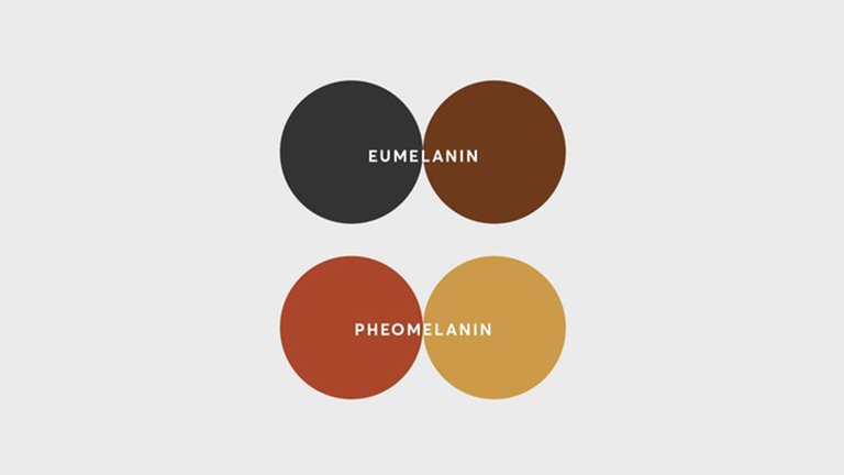Rối loạn sắc tố da bẩm sinh có liên quan đến hai loại melanin, eumelanin