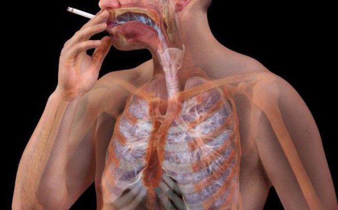 hút thuốc ảnh hưởng đến tim mạch