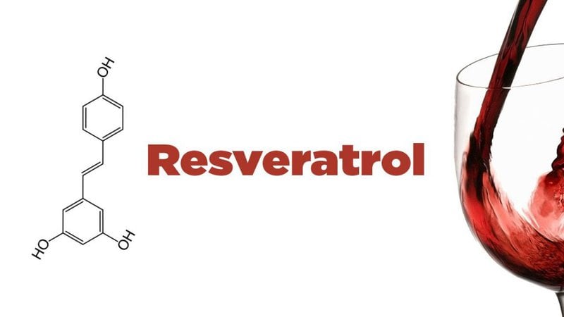 resveratrol là gì