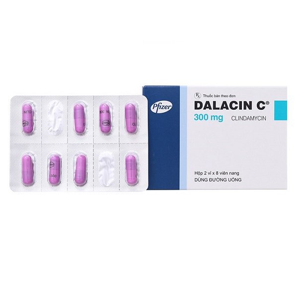 Dalacin C là thuốc gì?