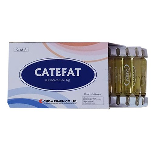 Thuốc catefat bổ sung Carnitine