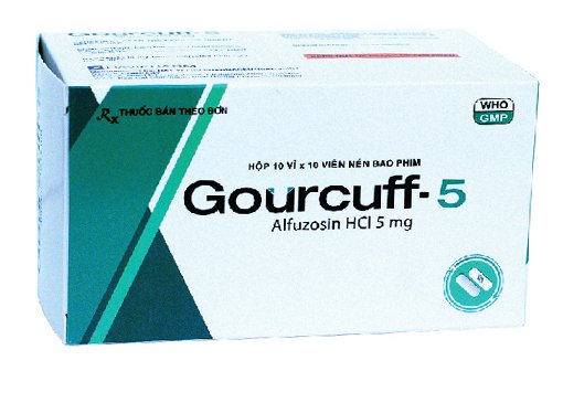 Gourcuff-5